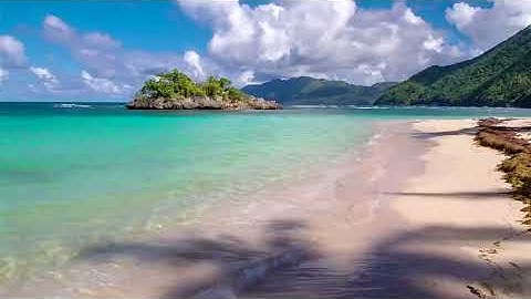 Olas Suaves para Relajar tu Vida Día y Noche - Sonidos de Playa en Samana