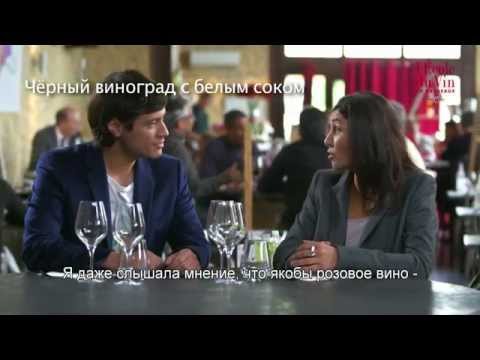 Бордо Розе и Клерэ - Азбука вин Бордо (выпуск 22)