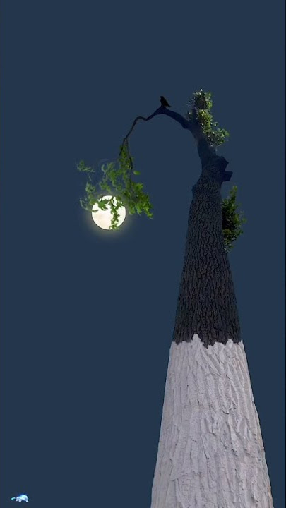 Terahim subuh status wa?