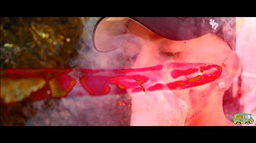 Jolo Reeves - Python (Official Music Video)