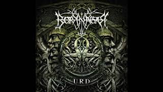 Borknagar - The Beauty Of Dead Cities