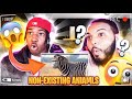 REACTING TO THE CRAZIEST ANIMALS HYBRIDS !!! **FUNNY**