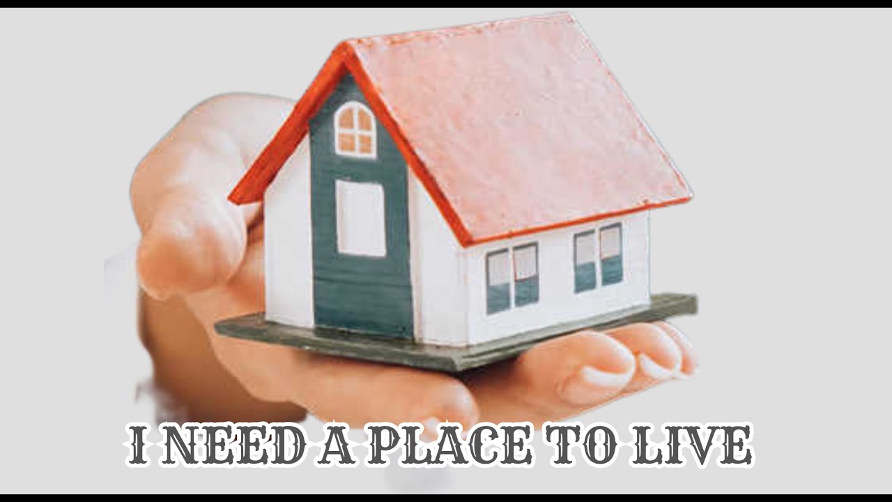 " I NEED A PLACE TO LIVE " This A Shirt Story English To Improve skills
