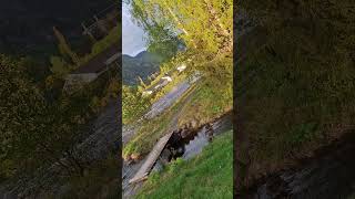 Daten Norwegen