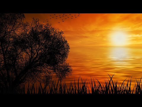 Nature WhatsApp Status Video 4k|Short 30 Seconds|Nature Love Song Background for Relaxation|4K 2021