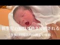 生まれて１時間以内！独特な動きで癒されました