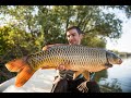 Ribolov šarana na reci Savi. Boat fishing for river carp.