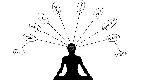 How Does Mindfulness Work? A Framework for Understanding the Neurobiology of Self-Transformation