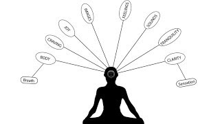 How Does Mindfulness Work? A Framework for Understanding the Neurobiology of Self-Transformation