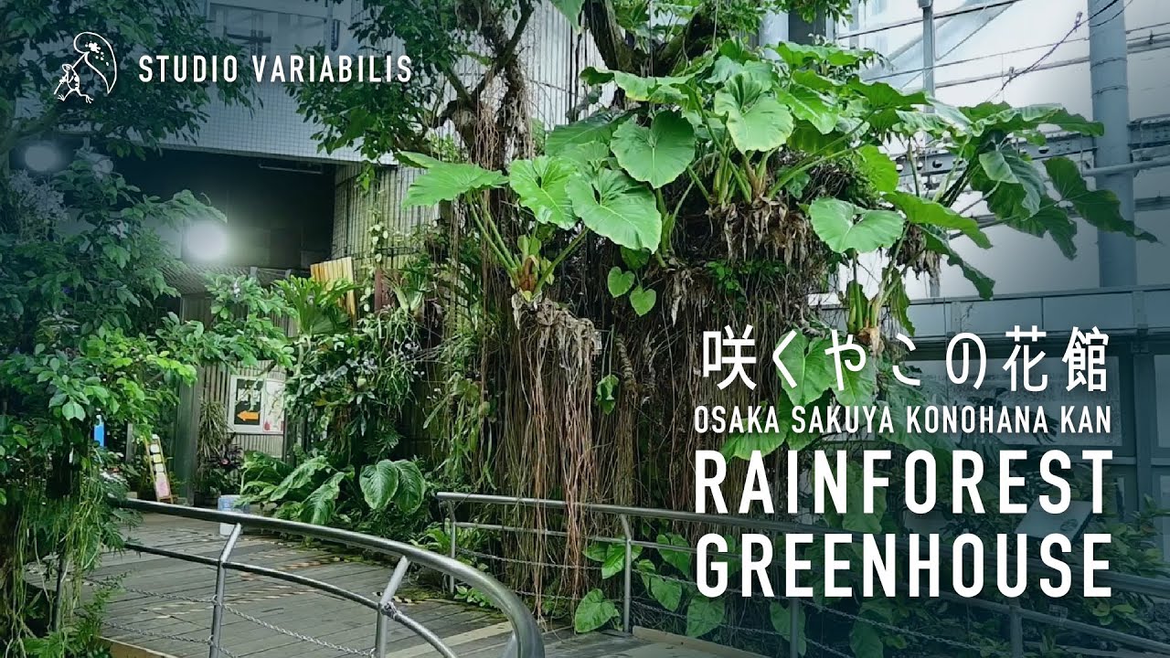 咲くやこの花館 - 日本最大の温室 -