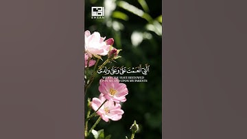 تلاوة من سورة النمل الآية 19 القارئ بلال دربالي #القران #اكسبلور