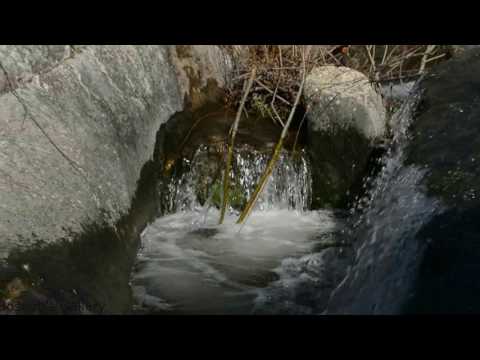 فوار مشتى عازار