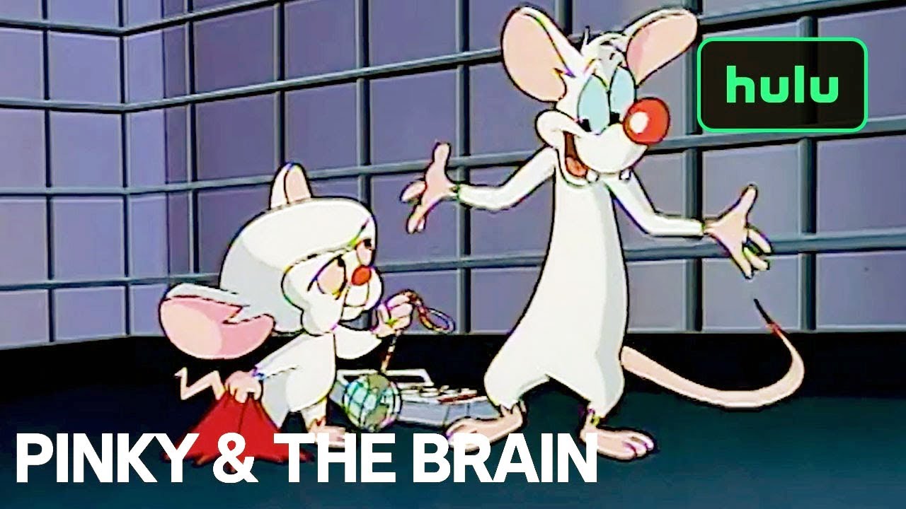  Pinky's Letter To Santa | Pinky And The Brain | Hulu