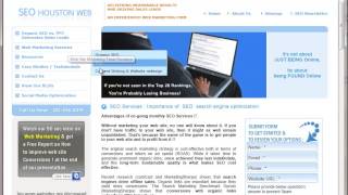 SEO Houston . B2B Marketing Texas .Search Engine Optimization .Organic SEO Houston .