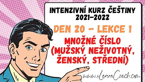 Jaké jsou tvary množného čísla?
