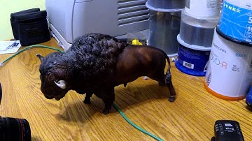 yongnuo 568 EX II test with buffalo