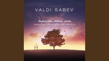 Valdi Sabev - I am Feeling Good