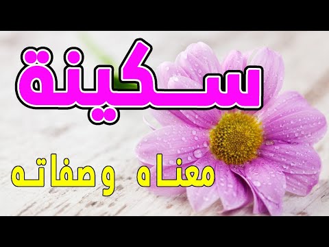 نفس الانحراف ينضم إلى معنى اسم Sakina Dsvdedommel Com