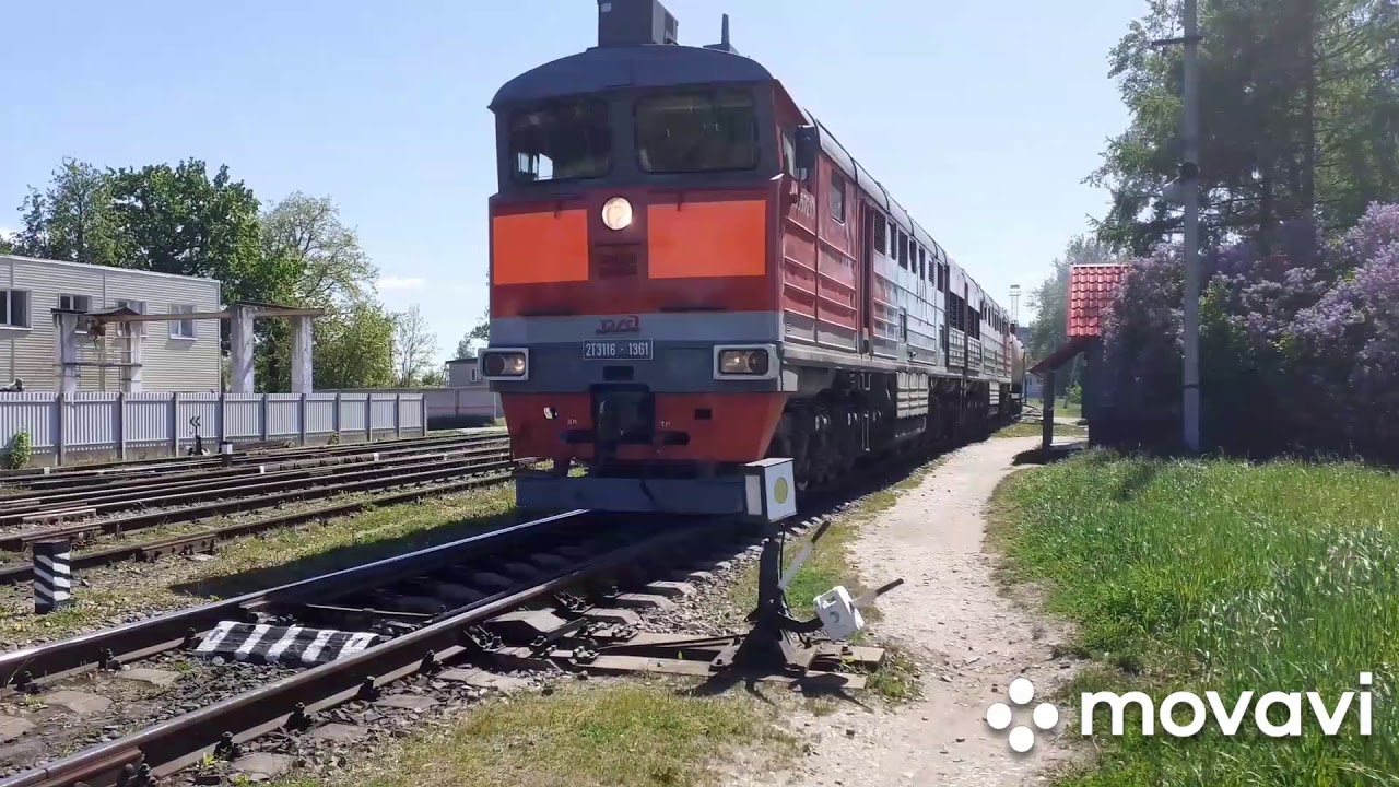 Поезд в луки санкт петербург. Поезд Псков Великие Луки. Поезд Великие Луки Санкт-Петербург. Поезд Великие Луки 1990. Поезд СПБ Великие Луки.