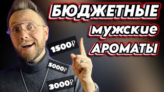 БЮДЖЕТНЫЕ МУЖСКИЕ АРОМАТЫ! Стоят дешево, пахнут дорого