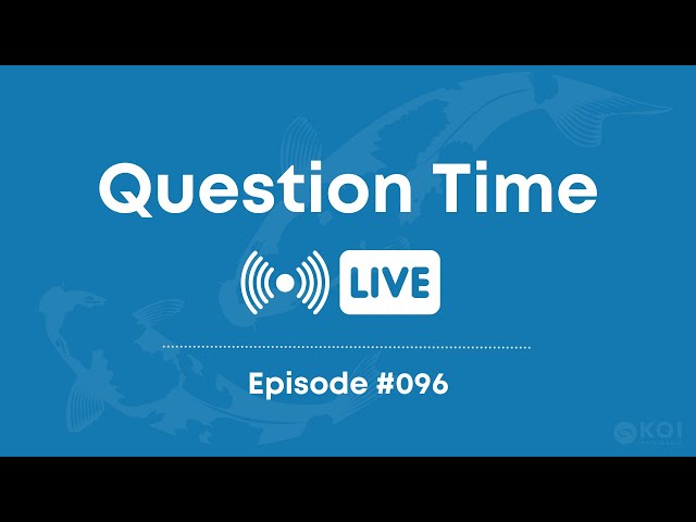 Koi Question Time Live #96 | Koi Pond Help & Advice class=