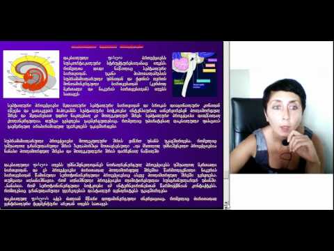 ჰიპოკამპალური ფორმაცია და მისი პროექციები, ლექცია2, ნაწილი3, ეკა ლეფსვერიძე, M005 2 05093