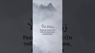 Сура ад Духа #quran #коран #shorts