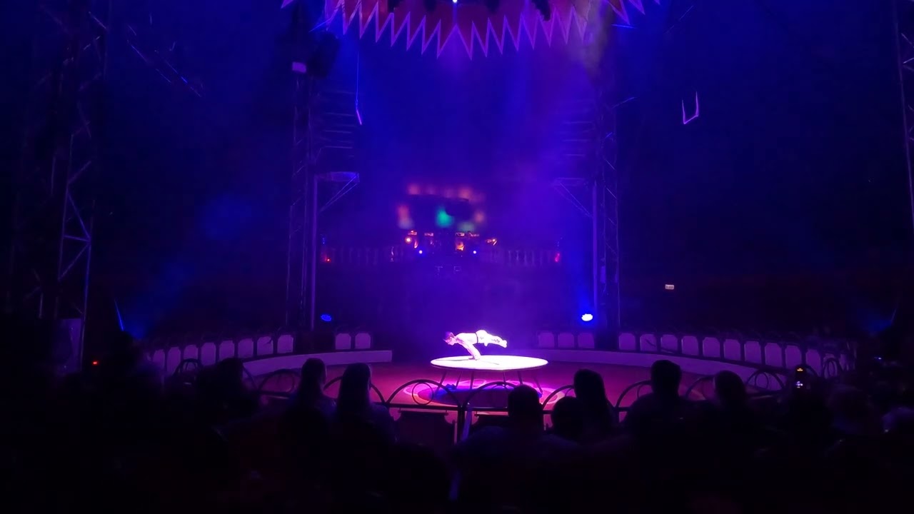Purple Rain - Acro Handstand Act by Samuele Manfredini