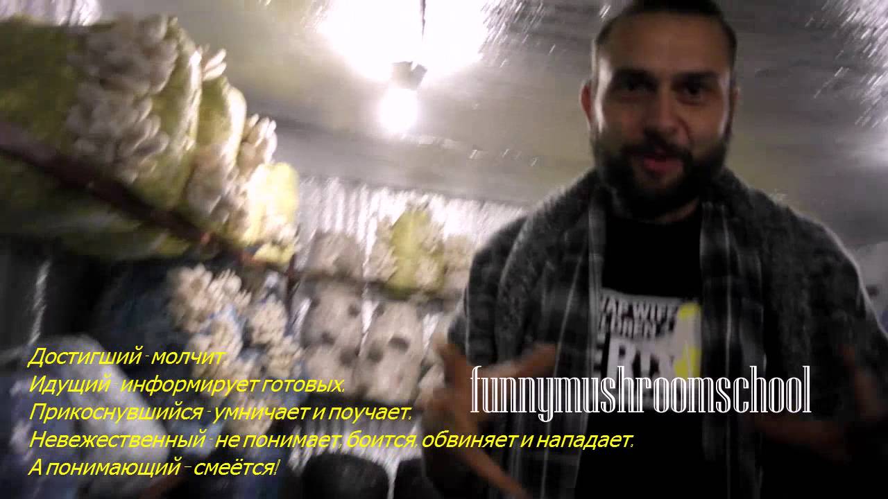 ВЕШЕНКА 80 lvl+ вентиляция и полив