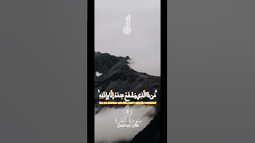 قران كريم بصوت الشيخ ياسر الدوسري