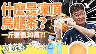 【六奉茶莊】什麼是凍頂烏龍茶？是什麼茶要價30萬一斤！？