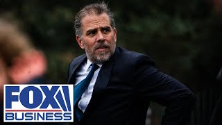 Hunter Biden to plead guilty to tax, gun case
