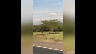 Safari ua Samburu - Les Wanyika