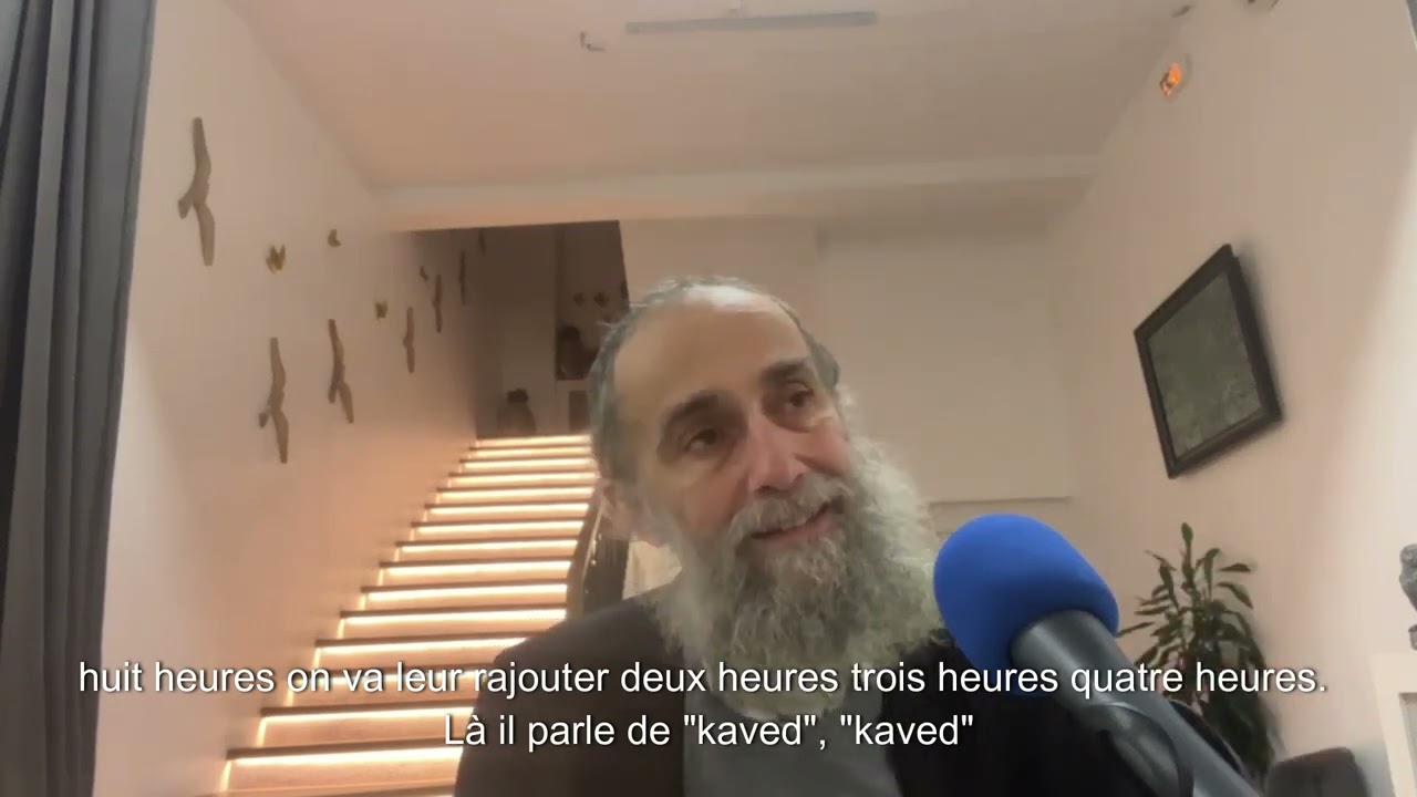 Rav Elie Lemmel - 14 Vaéra - Sommes-nous nés pour travailler?