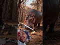 A hippopotamus watered a cashew seed 😭 #ai #hippocampus #cashew #aistory #aivideo #popular #shorts