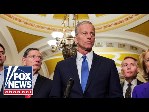 Thune SLAMS Dems over Venezuela war power vote: This makes a LOT of sense