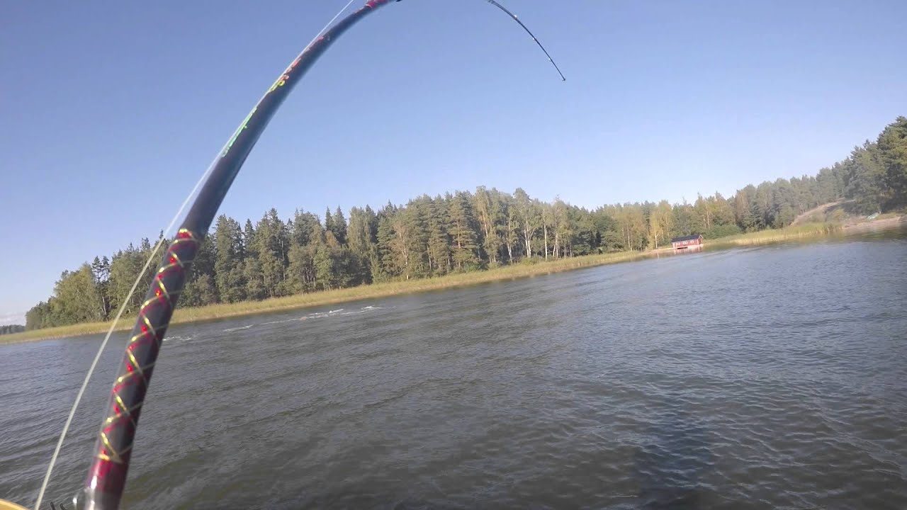 Alpolandia: Erikoiställi