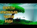 СЕКРЕТЫ КРИСТАЛЬНО ЧИСТОЙ ВОДЫ