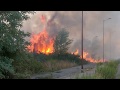 In Italy Forest Fires are Raging