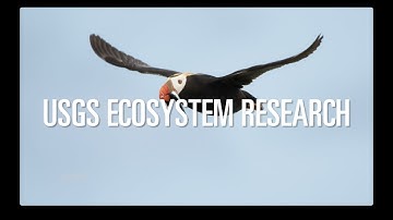 USGS Ecosystem Research