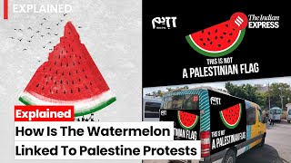 What Is The Watermelon’s Connection To Palestine | Explained | Israel Palestine Conflict