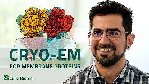 Unlock protein structures with Cube Biotech’s cryo-EM services