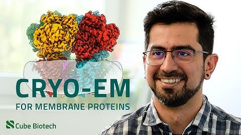 Unlock protein structures with Cube Biotech’s cryo-EM services