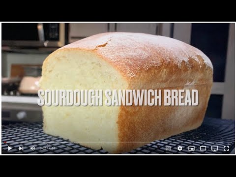 THE BEST Sourdough