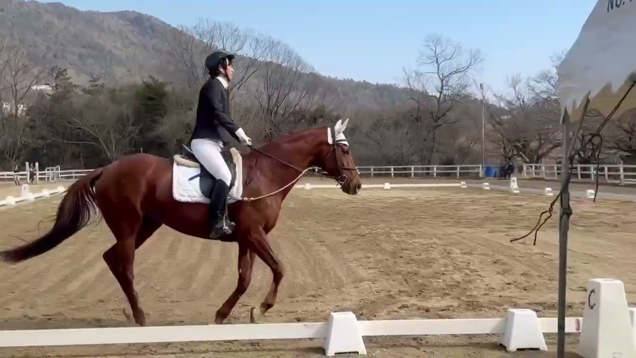 2026/2/14 県大会 林選手(清香) 2C