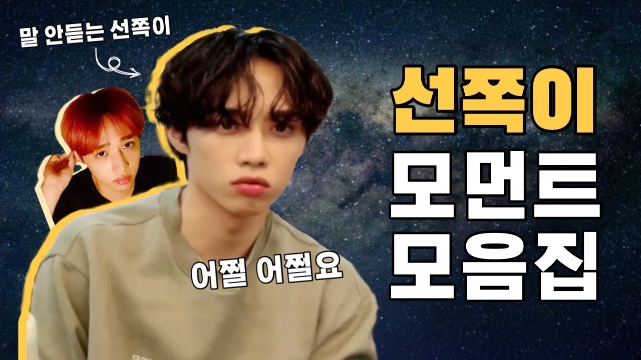 [더보이즈 선우] 선쪽이 모먼트 모음집