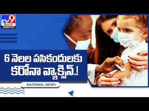 6నెలల పసికందులకు కరోనా వ్యాక్సిన్‌.! - TV9