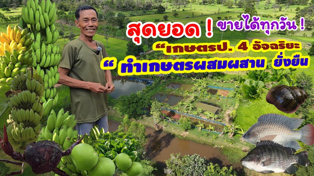 ฟาร์มกบ เกษตร ป.4 พลิกชีวิต!ทำเกษตรผสมผสาน รายได้ทุกวัน”