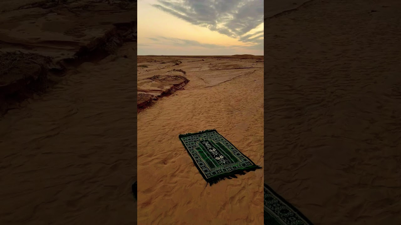 Holy Quran translation 