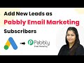 Auto Add New Leads as Pabbly Email Marketing Subscribers